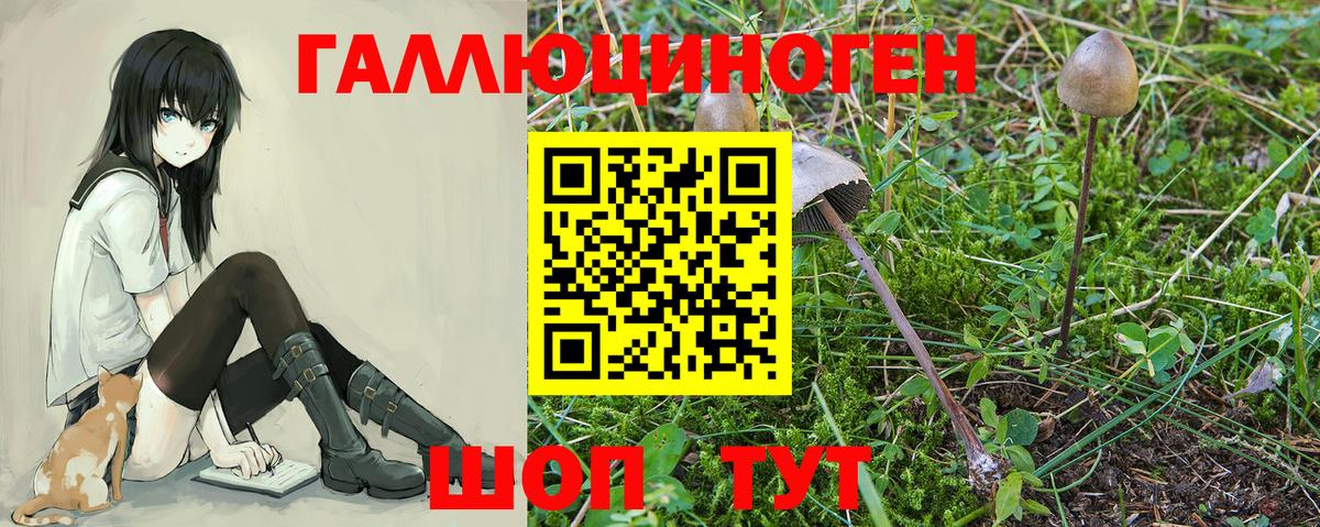 НБОМе Ишим