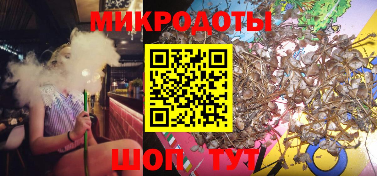 Псилоцибиновые грибы Cubensis Ишим
