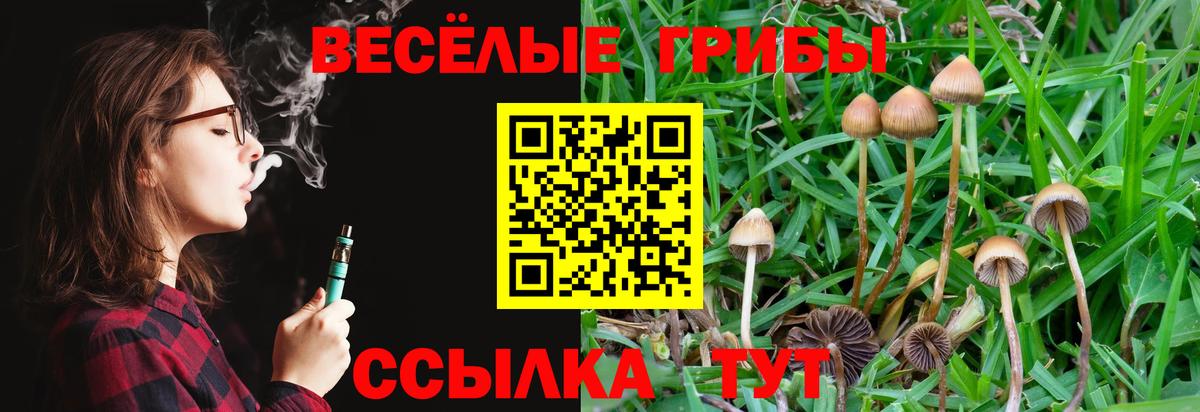 Псилоцибиновые грибы мицелий  Вход с VPN  Ишим  магазин    Галлюциногенные грибы Cubensis 